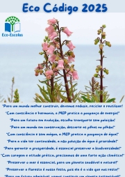 ECO CÓDIGO 2025.png